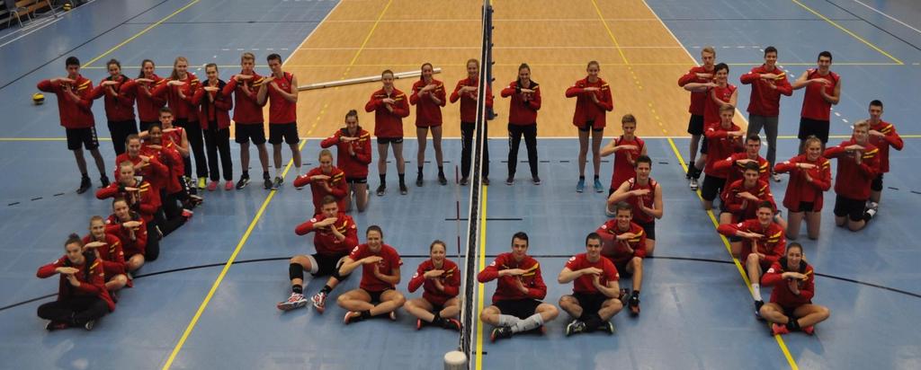 Beleidsfocussen BELEIDSFOCUS 1: TOPSPORT OD 2 : Ontwikkelingsprogramma s : Volley Vlaanderen zal