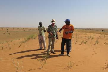 Groene woestijn Het Groene Woestijn Initiatief (IDV) is een programma dat tot doel heeft om samen met de bevolking de verwoestijning tegen te gaan en de vegetatie te herstellen.