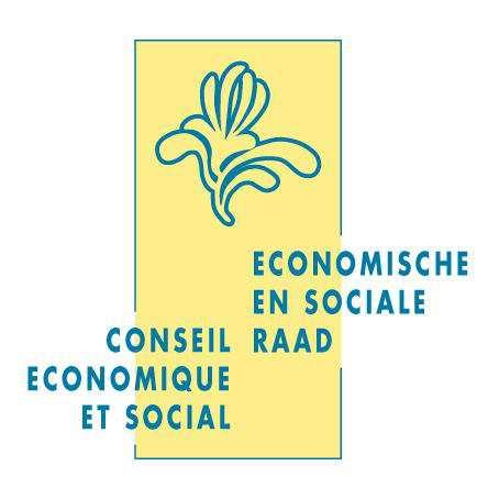 ADVIES UITGEBRACHT DOOR DE ECONOMISCHE EN SOCIALE RAAD VOOR HET BRUSSELS HOOFDSTEDELIJK GEWEST TIJDENS ZIJN ZITTING VAN 19 APRIL 2012