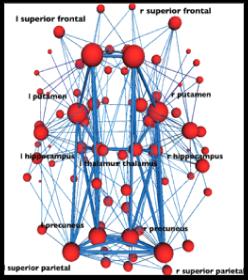 Sterke opslag vaste neurale  Hoger IQ scores: Grotere hubs groter aantal hubs Kortere verbindingen > hogere neurale