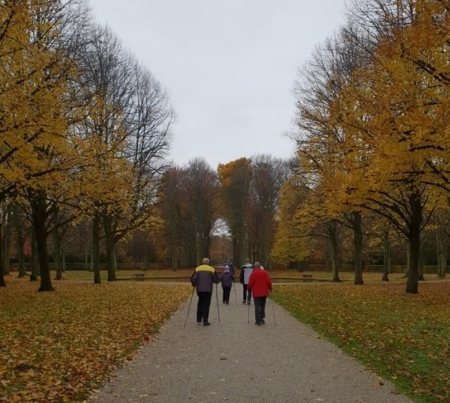 3e Wandeluur Sinds 1 juli loop ik met veel plezier het 3 e wandeluur. De mensen van deze groep zijn enthousiast en enorm trouw. Ik heb echt bewondering voor ze!