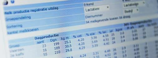 De norm van 10 gram IgG per liter werd bij 16,5 procent van de kalveren in het pilotonderzoek niet gehaald.