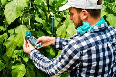 Teamregistratie in het veld Wilt u arbeid en productie registreren in het veld?