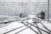 Boerenverstand??? Ontwrichting treinverkeer regelrechte blamage Het is onbestaanbaar dat het spoornetwerk in Nederland nog steeds niet is opgewassen tegen het Nederlandse weer.