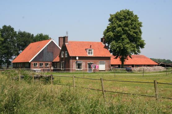 Aan de west- en zuidzijde een tuin, aan de achterzijde (noord) en oostzijde van de boerderij een met beton en betonklinkers verhard erf.