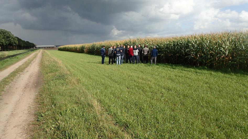 Op 30 september tijdens de 2 e veldbijeenkomst (wederom leuke opkomst) bij het demoperceel was de Aalborg al geoogst en de alternatieve groenbemesters gezaaid. Foto 16.