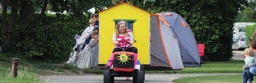 Spelen Een airtrampoline, ook voor de allerkleinste, volleybalveld, pannakooi, skatebaan, basketbalveld, klim- en klautertoestellen, glijbanen, camping t Noorder Sandt heeft het allemaal.