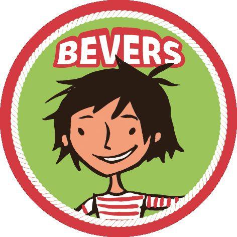 Bevers