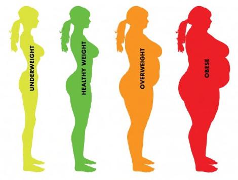 Hoewel overgewicht (vaak door een combinatie van steeds minder bewegen en meer en ongezonder eten) het meest voorkomt, hebben we ook aandacht voor ondergewicht.