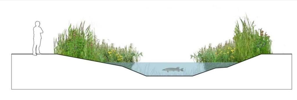 Bewoners die vanuit de voorzijde van de woning uitkijken op smallere watergangen (< 10 m) kunnen het water beleven. Figuur 4.