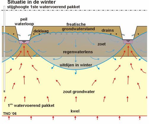 TNO-rapport 13 / 43 grondwateraanvulling (regen). Er ontstaat een laag zoet water boven het brakke/zoute grondwater: de zogenaamde regenwaterlens (Figuur 11).