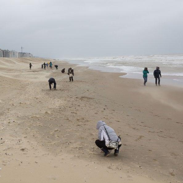 schelpen die aanspoelen. Als we elk jaar schelpen tellen, kunnen wetenschappers evoluties op lange termijn meten.