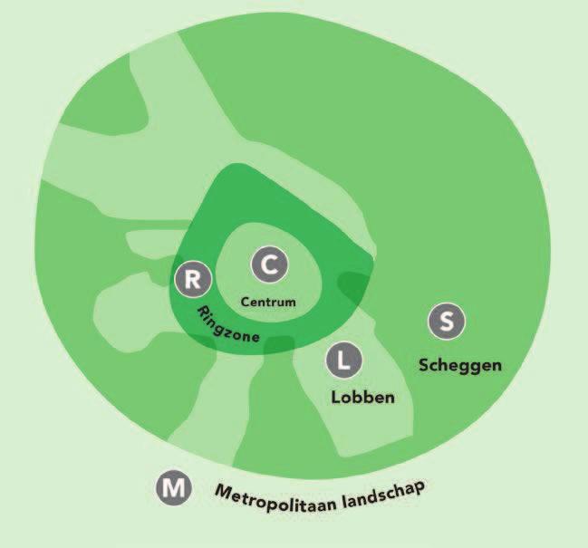 We maken onderscheid in vijf zones: het centrumgebied, de ringzone, de stedelijke lobben, de groene scheggen en het metropolitaan landschap. Elke zone vraagt om een andere focus.