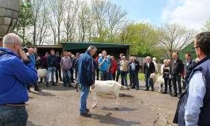 Goffe de Boer uit Buitenpost presenteerde met mooie foto s de Witte geiten en bokken in Engeland. De afgelopen jaren zijn er enkele bokken met vers bloed vanuit Engeland geïmporteerd.