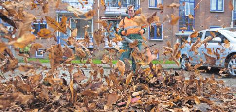 U kunt helpen uw straat schoon te houden door uw achterpad, straat en stoep schoon te vegen. Het blad kunt u in uw groene container doen. U levert het blad aan de openbare weg.