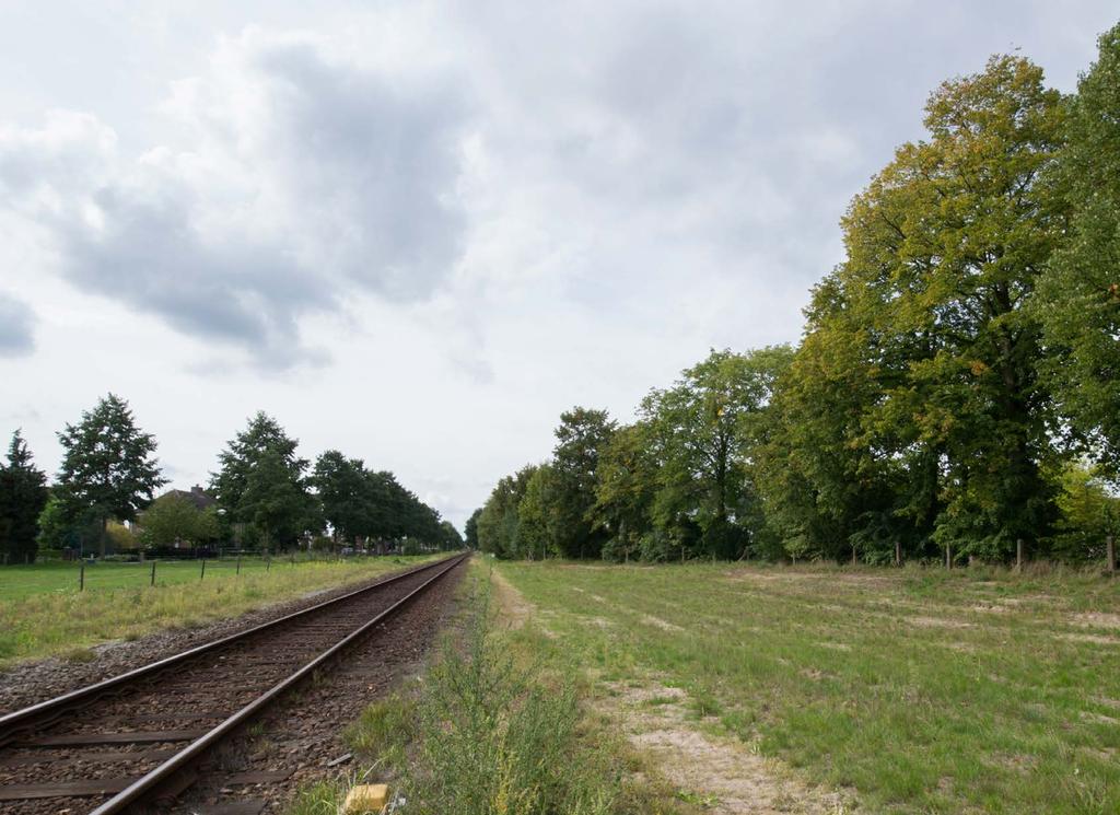 5.1 Budel-Schoot West 5.1.1 Inventarisatie huidige groenstructuur Hamonterweg Poelsnip Poelsnip Poelderstraat Poelruiter Poelderhof Scho olpad Poelpad Op het Stationsplein staat rondom een rij met