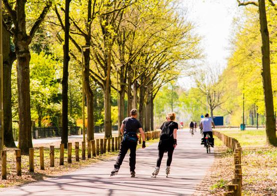 WERELD VAN HET GROEN. OOK DE WERELD VAN DE STAD. Het beste van twee werelden.