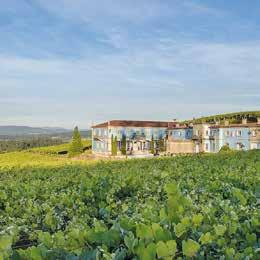 GALICIA PORTUGAL AGRO DE BAZÁN K g 25 h Vilanova de Arousa t graniet / zand k zeeklimaat O 1981 v Agro de Bazán is een voorbeeldbedrijf en trendsetter voor Rías Baixas.