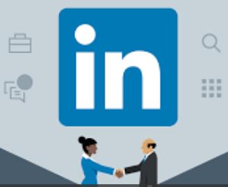 400 Connectie LinkedIn 350 300 250 300 271 344 312 200 175 150 100 80 120 130 151 50 0