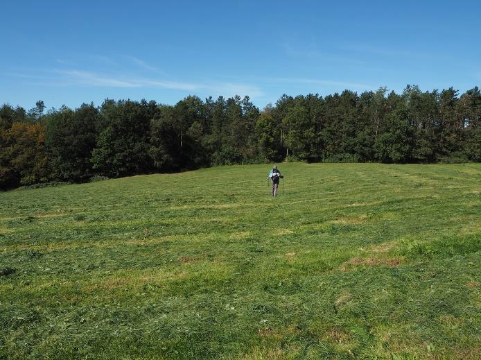 Dit prachtige pad houden we nu langere tijd aan tussen de golvende heuvels door met veel weilanden en overal stukjes bos.