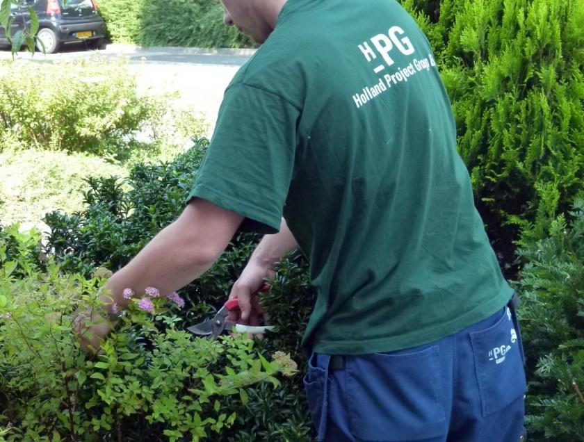 Snoeien van heesters, hagen en (rozen)struiken Bij het snoeien van heesters, hagen en (rozen)struiken dient rekening gehouden te worden met vogels met jaarrond beschermde nesten en overige