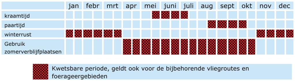 Kwetsbare periodes De gewone dwergvleermuis kent de volgende kwetsbare perioden (Figuur 5): Winterrust: 1 november tot 1 april, gewone dwergvleermuizen kunnen echter de gehele winter foeragerend