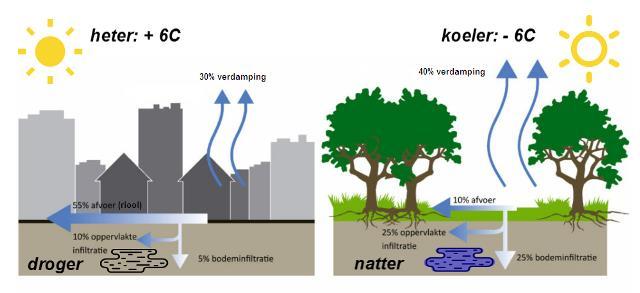 INFILTRERENDE VERHARDING Goed voor: Voorkomen