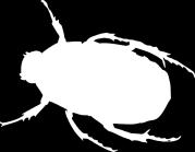 contract tegen onbevoegde aanpassingen; Bug: Ethereum Parity Multi-sig wallet Beveilig