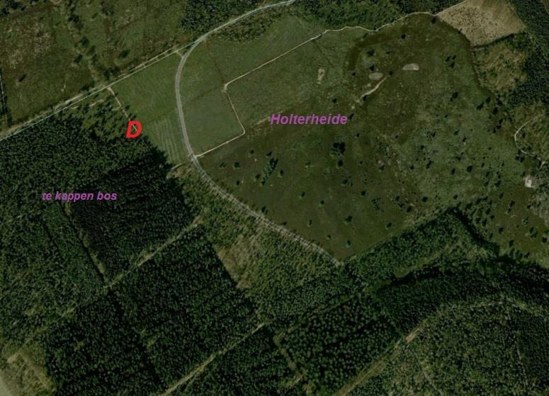 Ook de aansluitende ATB-paden door het open bos zijn onderzocht, daar meest dode