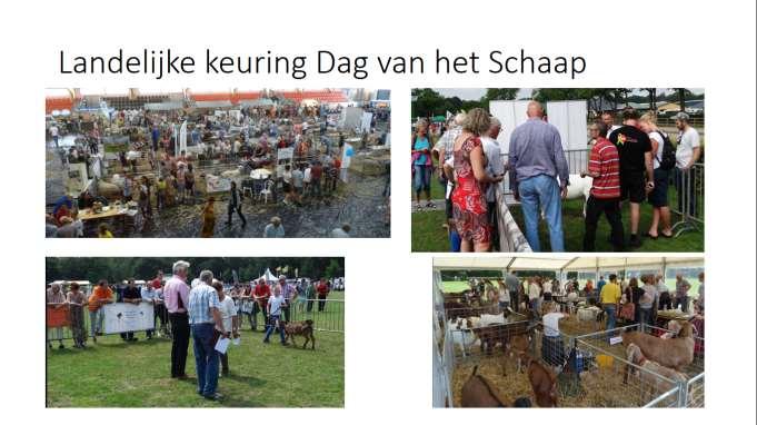 Succesvolle Geitenkeuring op de veel publiek trekkende Dag van het Schaap en de Geit in Ermelo.