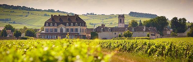 Dag 4 woensdag 4 september Chateau Meursault Puligny- en Chassagne Montrachet Domaine Leflaive.