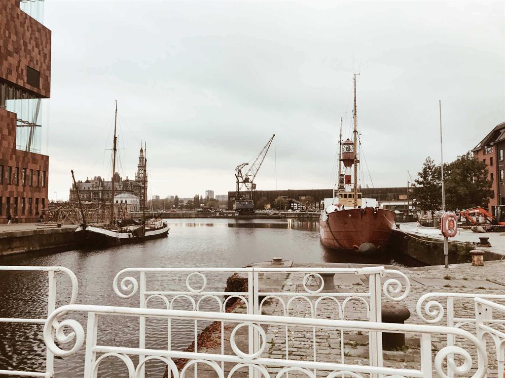 Dankzij de komst van het Museum aan de Stroom (MAS) ademt de buurt rond de jachthaven een echt