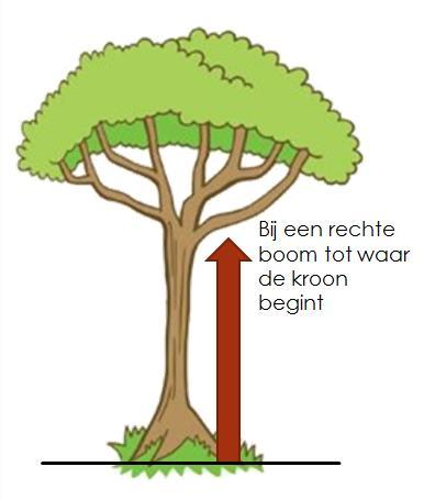 zware tak. Deze wordt opgemeten in hele meters. De commerciële lengte wordt dan bepaald door de opgenomen commerciële hoogte af te trekken van de opgenomen stronkhoogte. Figuur 10.