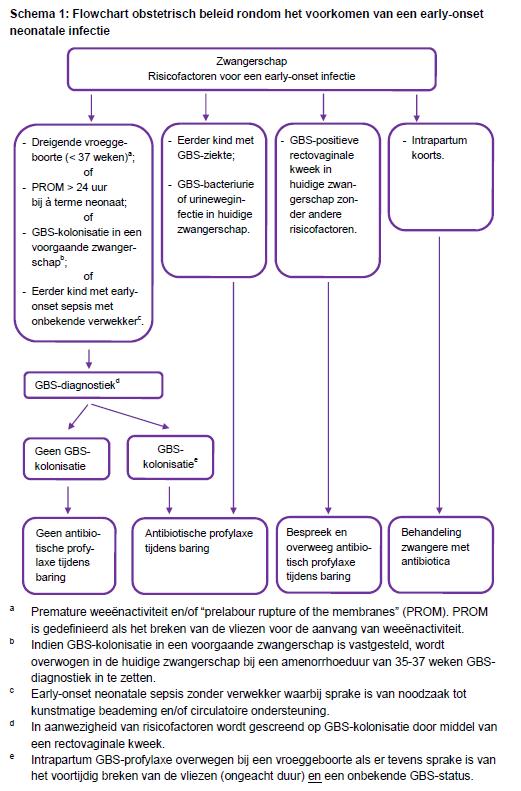 Counseling / shared decision making Zoals hierboven beschreven kan diagnostiek naar GBS en het gebruik van antibiotica profylaxe bij GBS in enkele gevallen overwogen worden.