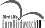 125 Skor, nr. 3, 2010 Bericht van Vogelbescherming Op zaterdag 2 oktober is het weer zover, BirdLife International organiseert dan de Euro Birdwatch 2010.