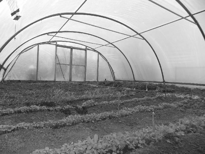 Oproep van de dorpstuin In de afgelopen herfst is tijdens een stormachtige nacht de tunnelkas ingestort.