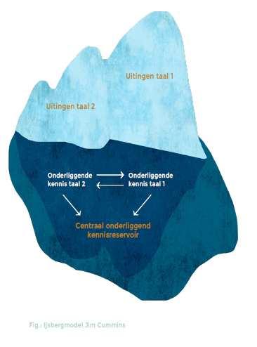 Thuistaal en taal leren (ijsbergmodel - Cummins, 1976) Thuistaal en taal leren (drempelhypothese- Cummins, 1976) Thuistaal en (taal) leren (Orioni, 2016) Te onthouden Talen versterken elkaar