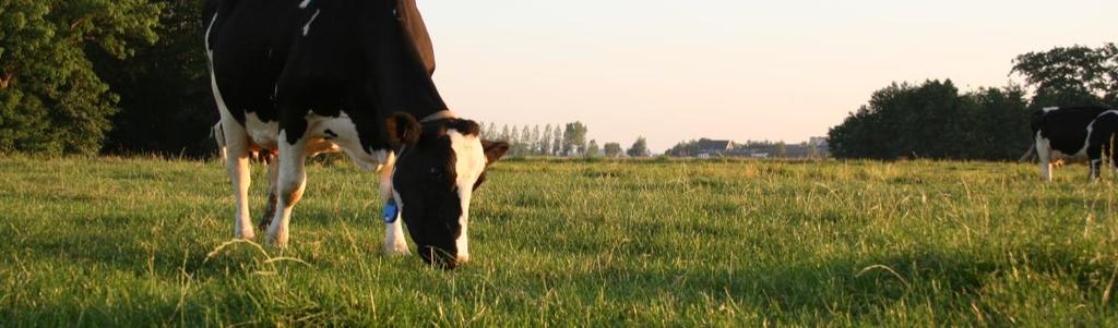 Grasland produceert naast ca. 12 ton droge stof aan ruwvoer ook nog eens 4,5 ton organische stof beschikbaar voor bodemleven; Beoordeel of wortels door de oerlaag groeien.