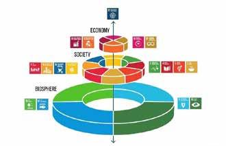 Biodiversiteit en de SDG s De voorbereidingen van het post 2020 biodiversiteitsbeleid op mondiaal niveau zijn van start gegaan met de beslissingen genomen op de 14de Conferentie der Partijen van de