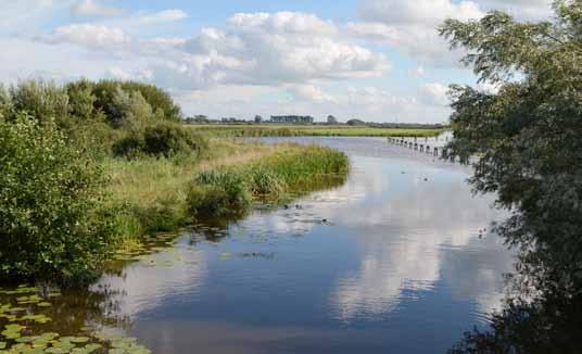 Nieuwsbrief November 2015 Werk aan de Wierickes Heeft u afgelopen maanden ook gezien dat het waterschap nog steeds werk in uitvoering heeft op en rond de Wierickes?