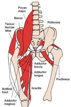 Adductoren (5) tendinopathie?