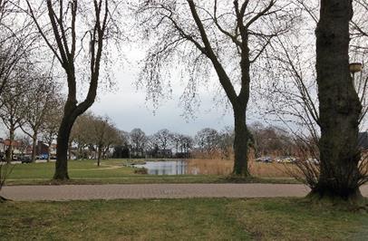 De gemeente is verantwoordelijk voor de waterkwaliteit, het waterschap voor beheer van de hoeveelheid water en eventueel doorspoelen van de vijver.