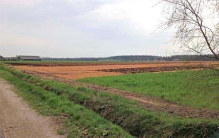 Bestrijdingsmiddelen in de landbouw: Handig hulpmiddel bij grootschalig teelt. Nadeel is dat de bodem steeds verder vergiftigd raakt.