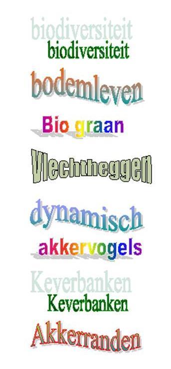 19 8. Kennis Wij wisselden ervaringen uit over akkerranden met onder meer Bauke Koole van de werkgroep Grauwe kiekendief.