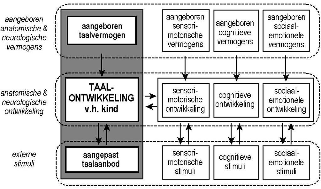 Taalontwikkelingsproces