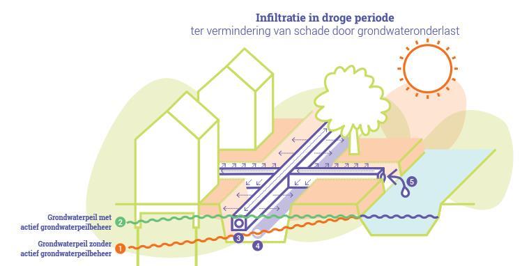 Is er wat tegen te doen? Grondwater op peil houden!