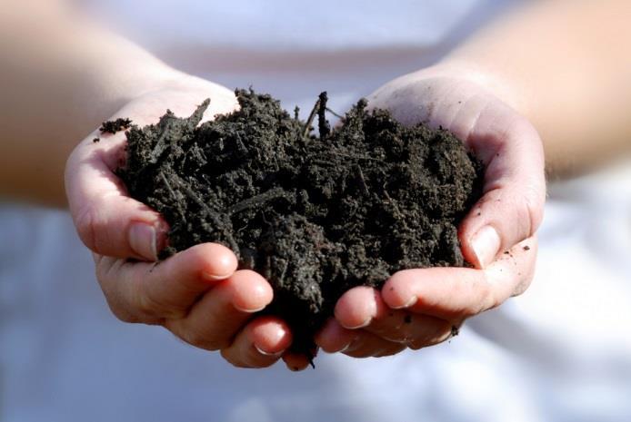 Belang organische stof voor bodem & water Bodemvruchtbaarheid Voedselbron bodemorganismen Bodemstructuur Minder uitspoelingsgevoelige bodem Minder uitspoeling van meststoffen en bestrijdingsmiddelen