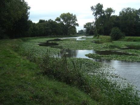 Waternavel Recreatie & draagvlak