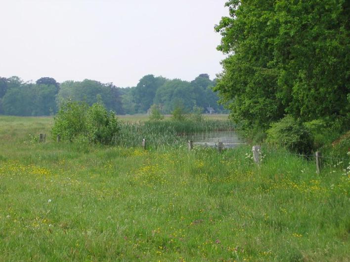 water. 8 Hooilanden Hooilanden Buitenlanden Langenholte is een uniek natuurterrein. In de tweede helft van april bloeit hier de zeldzame kievitsbloem.