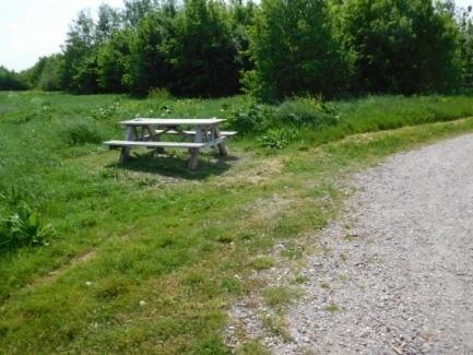 In het gebied hebben wij een picknicktafel gezien. 6.1. Wij adviseren om op regelmatige afstand (minimaal om de 200 a 250 m) zitgelegenheid aan te brengen.